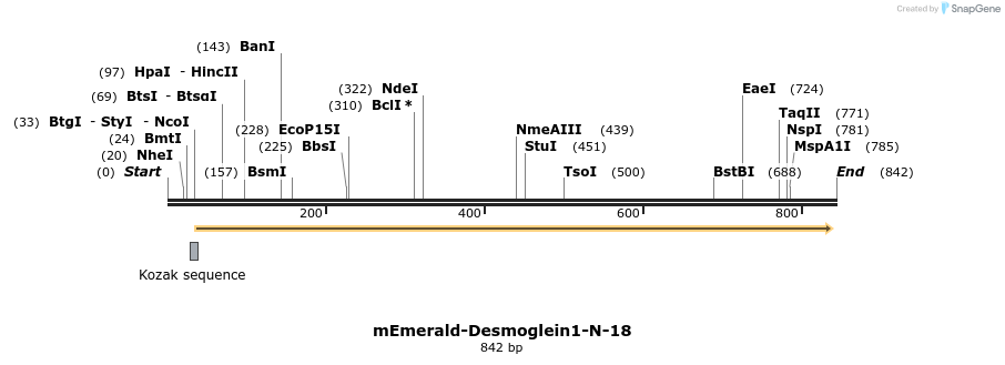 89374_map
