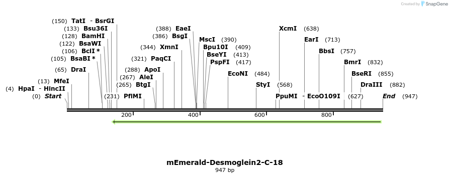 89376_map