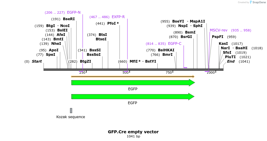89377_map