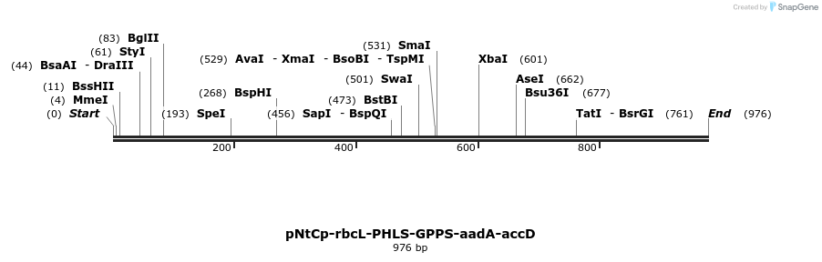 89381_map