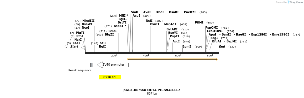 89383_map