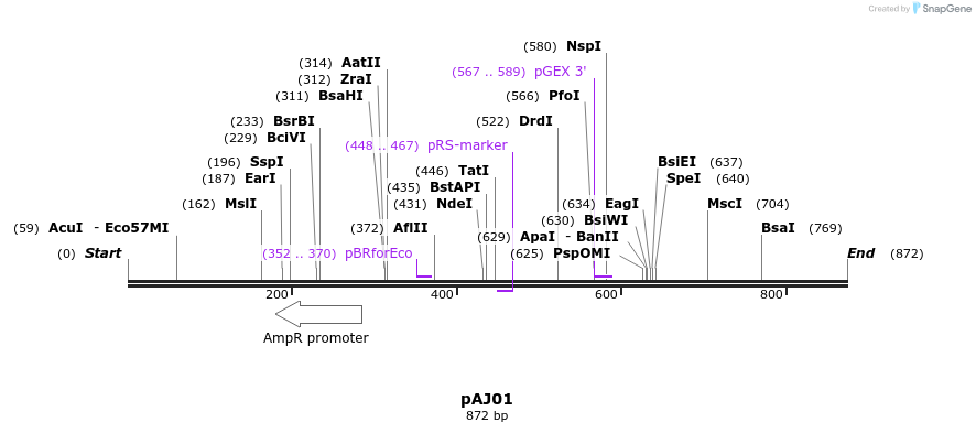 89386_map