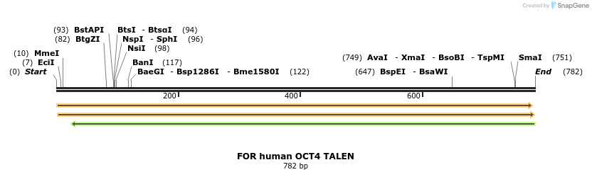 89387_map