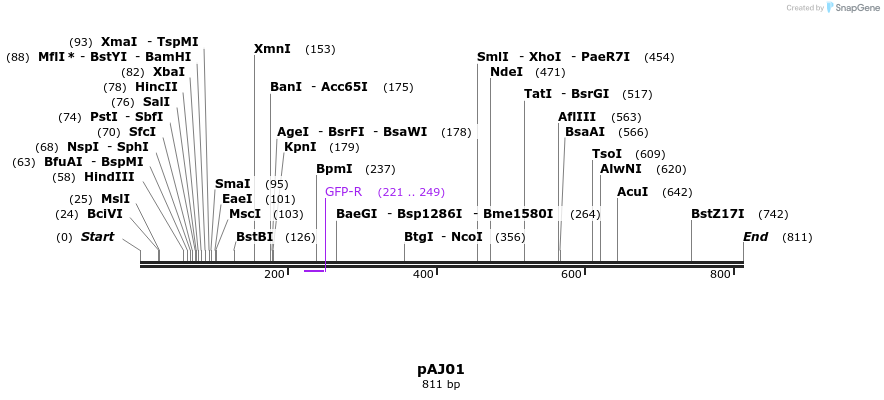 89388_map