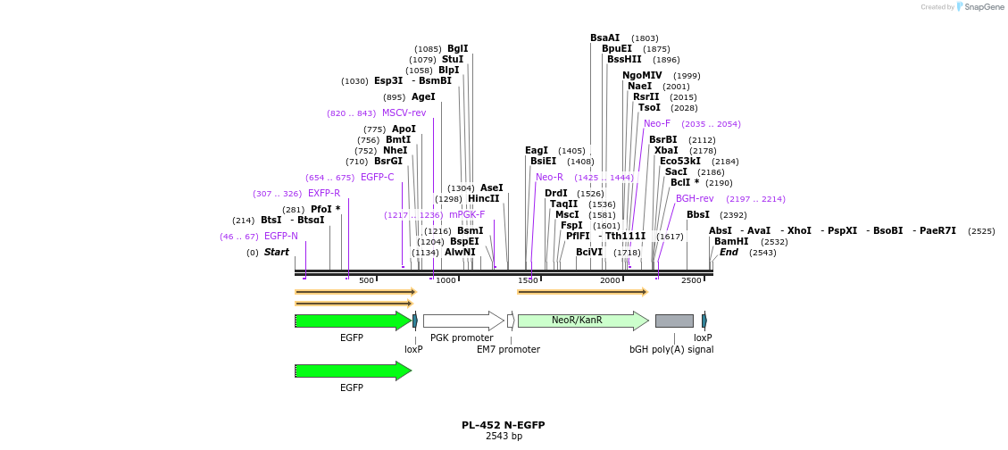 8939_map