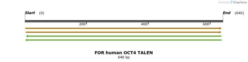 89390_map