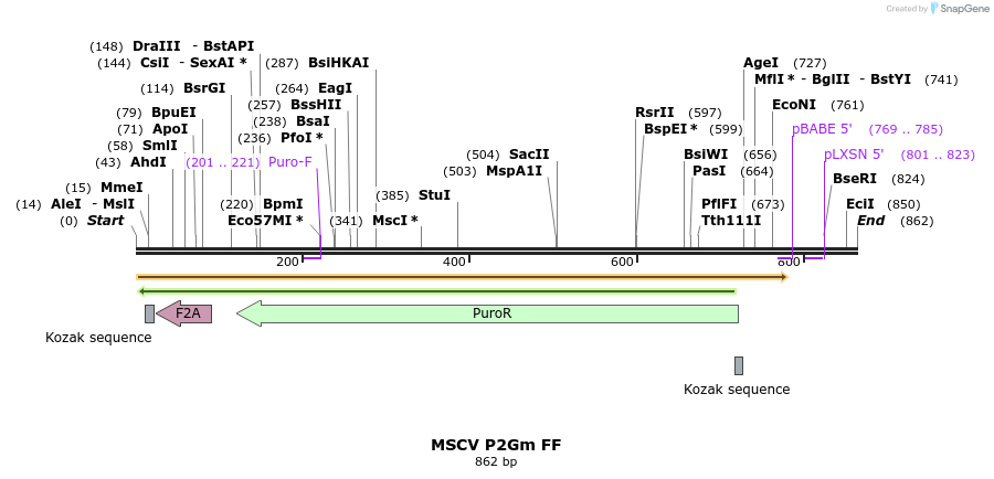 89392_map