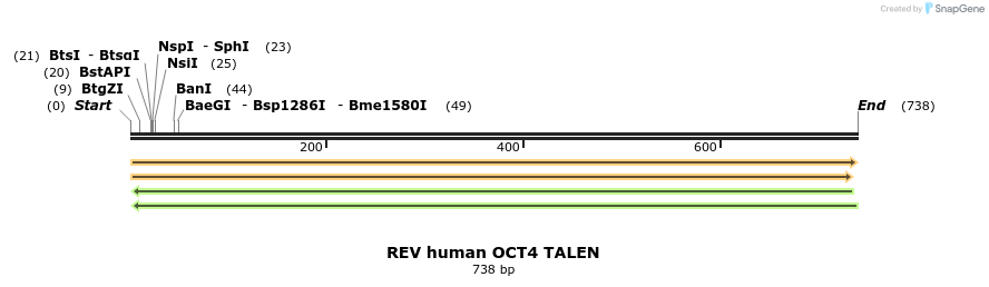 89398_map
