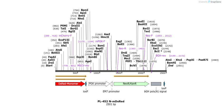 8940_map