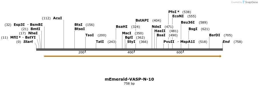 89404_map