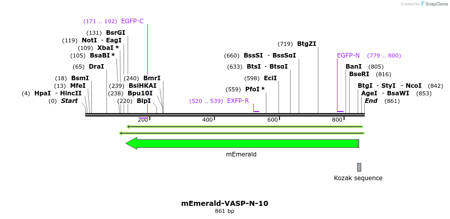 89405_map