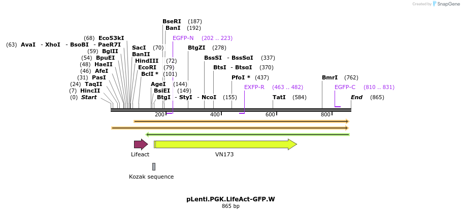 89407_map