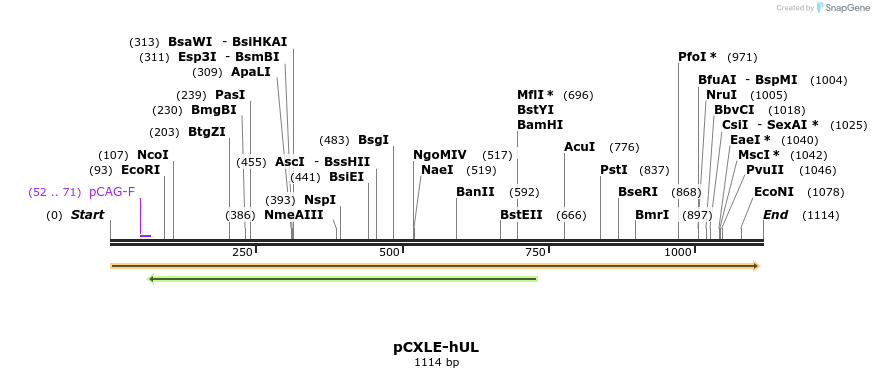 89408_map