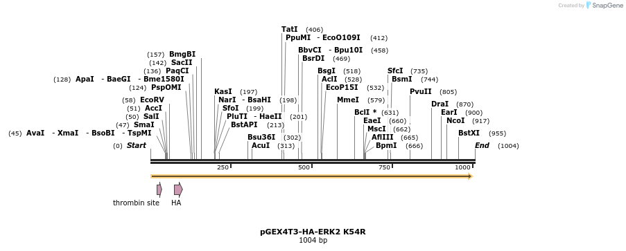 89417_map