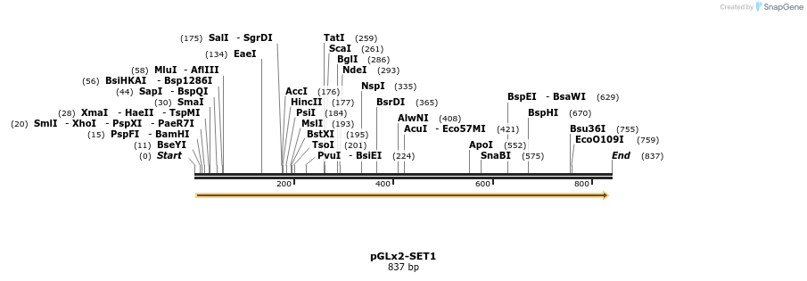 89419_map