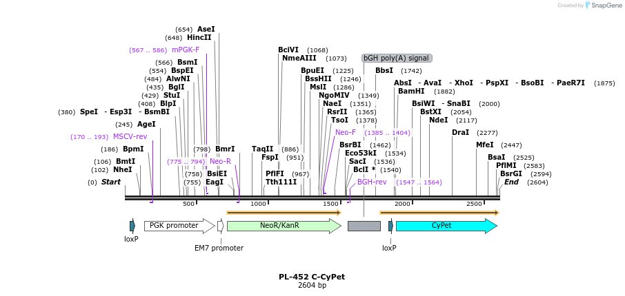 8942_map