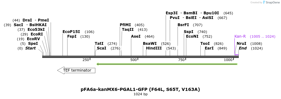 89420_map