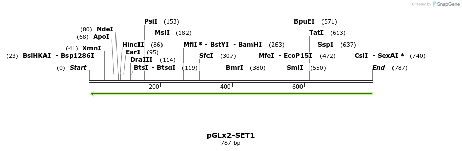 89421_map