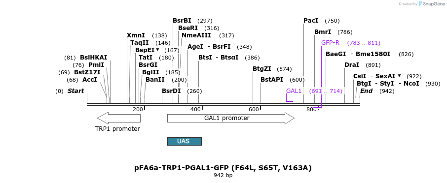 89423_map