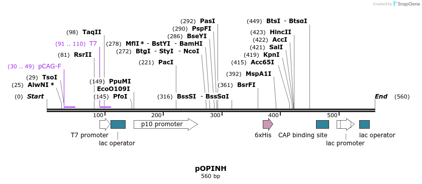 89428_map