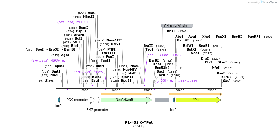 8943_map