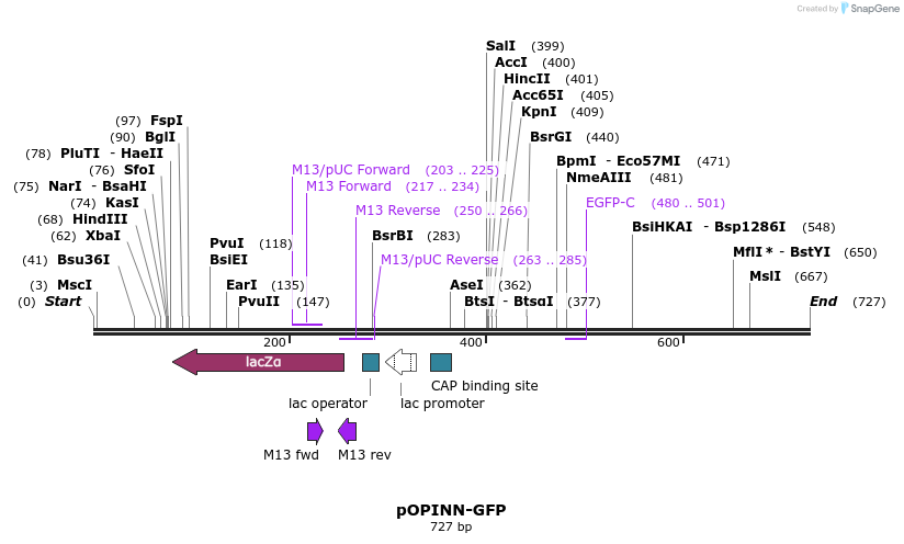 89431_map