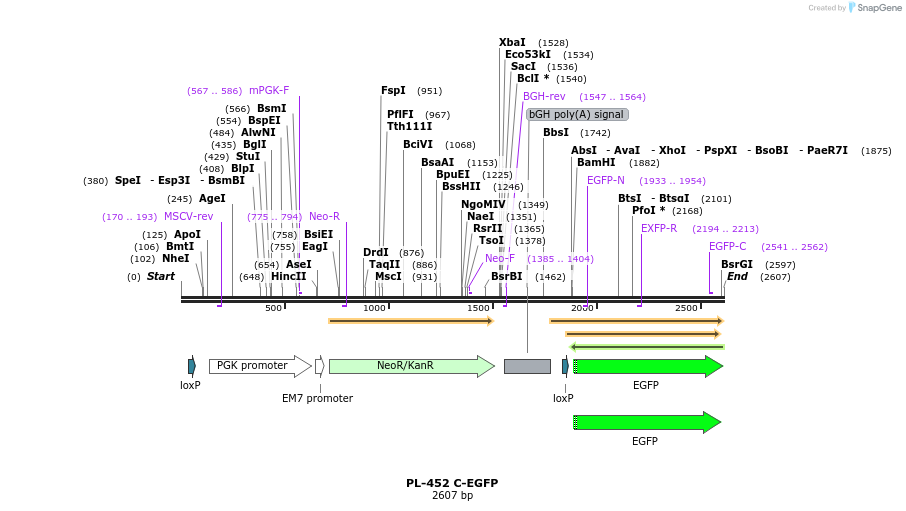 8944_map