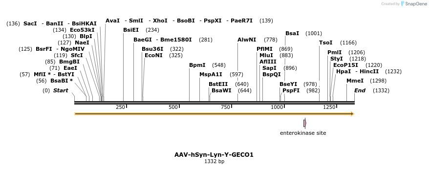 89441_map