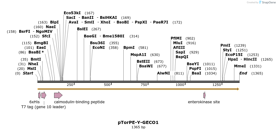 89445_map