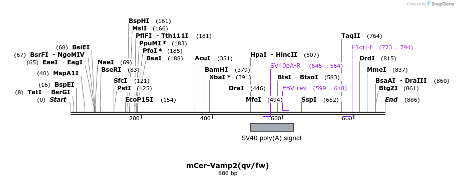 89450_map