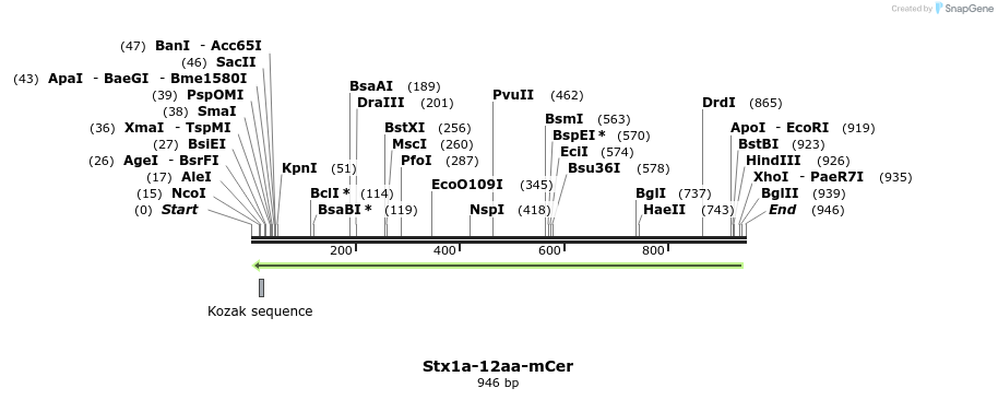 89451_map