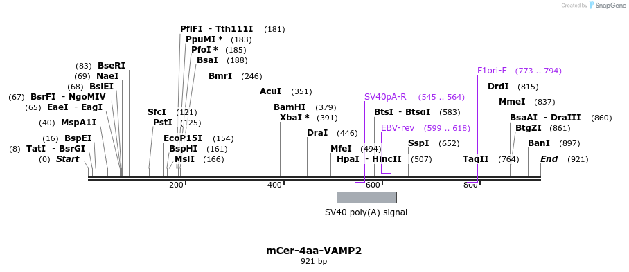 89452_map