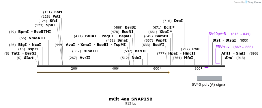 89454_map