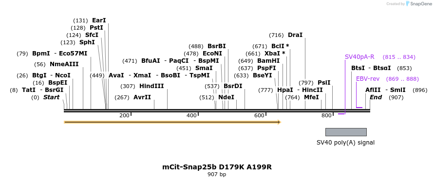 89455_map