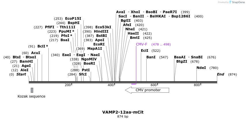 89456_map