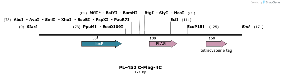 8946_map