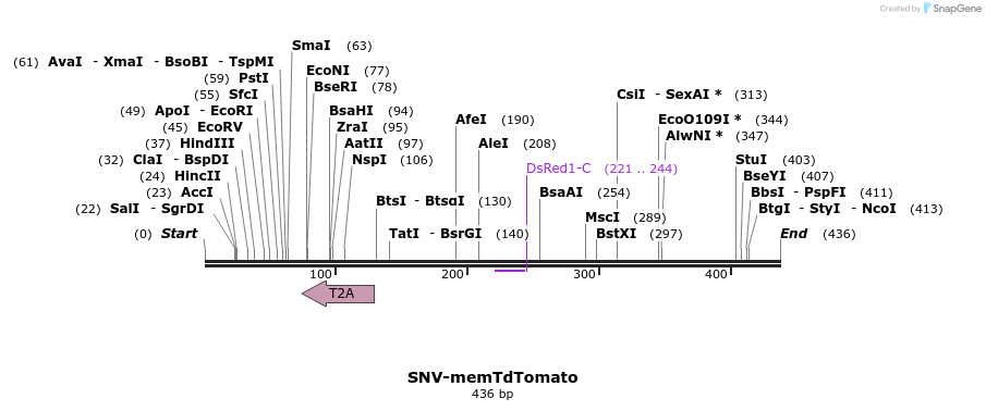 89461_map