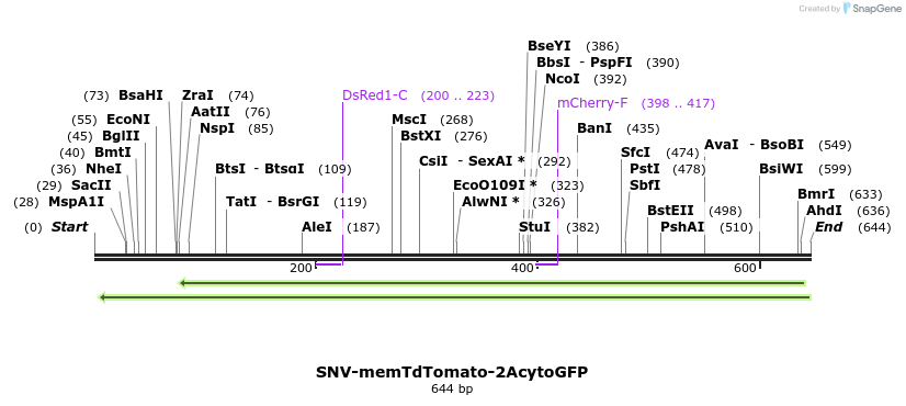 89462_map