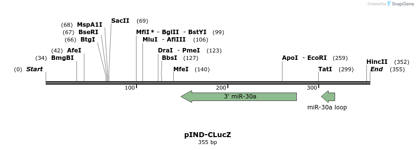 89463_map