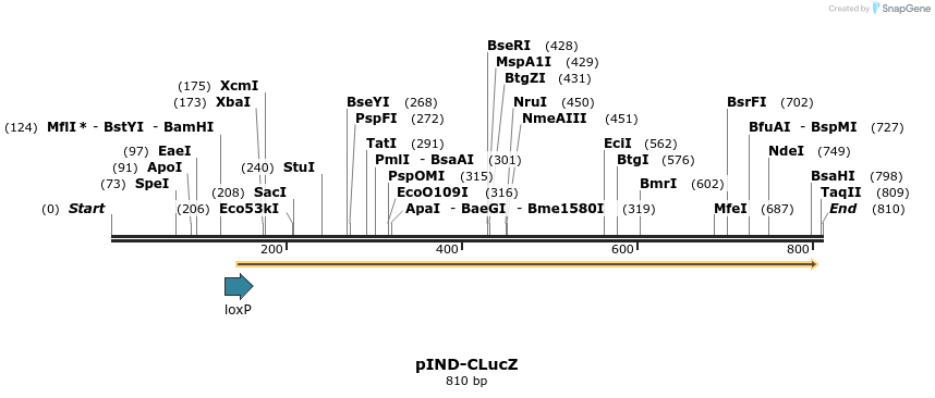 89464_map