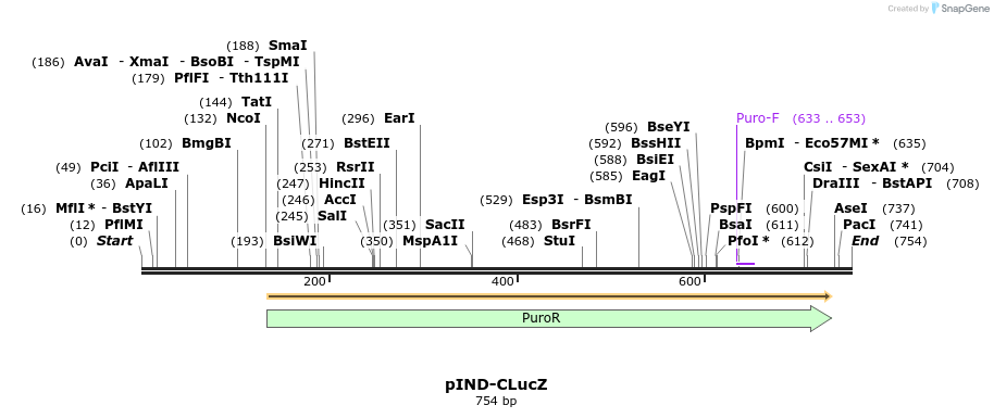 89465_map