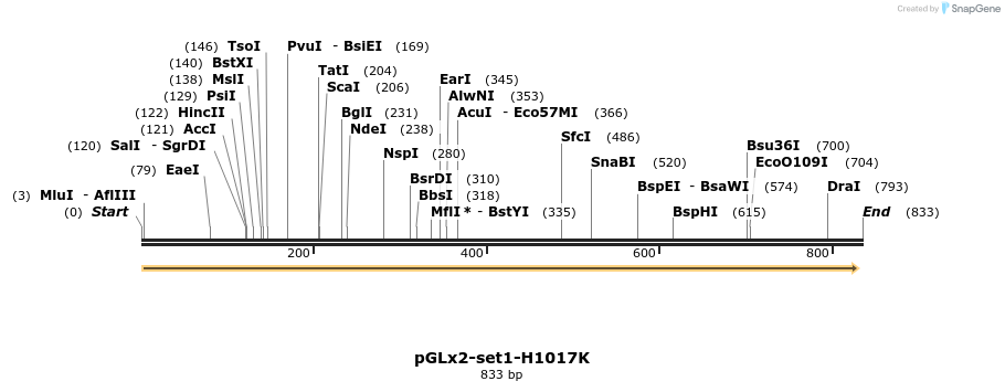 89474_map