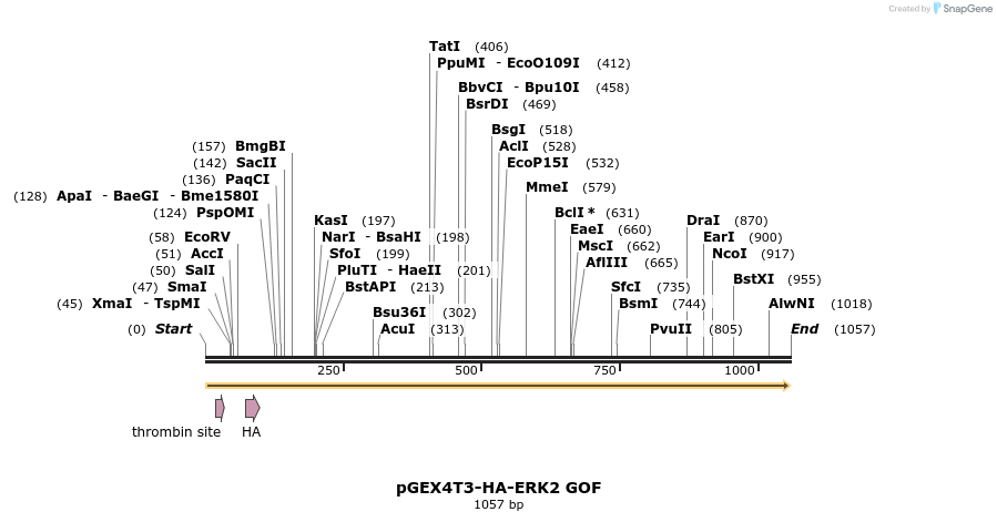 89475_map