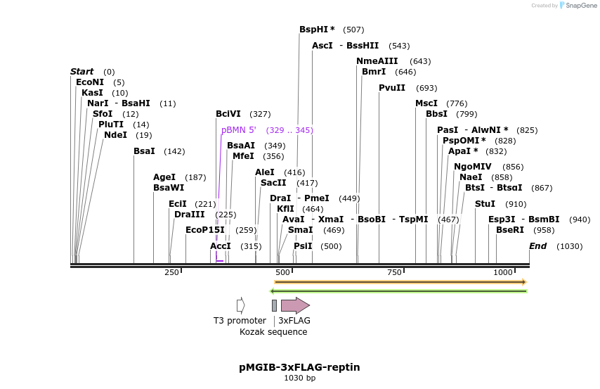 89477_map