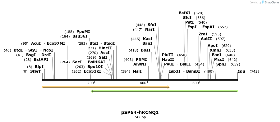 89478_map