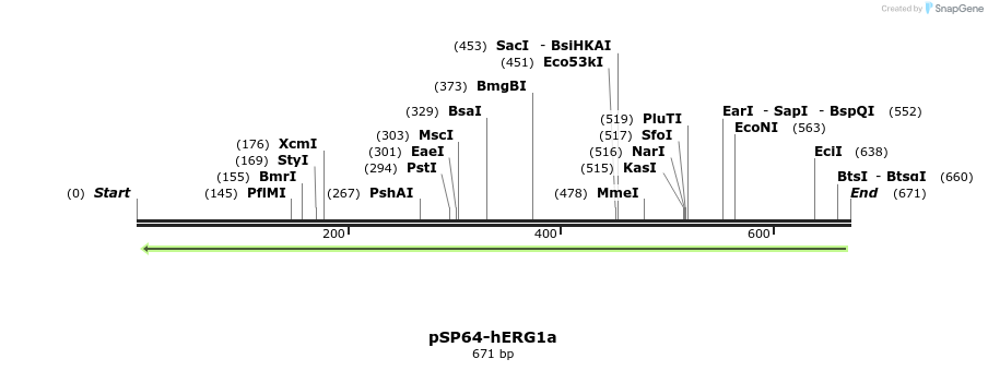 89481_map