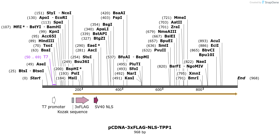 89482_map