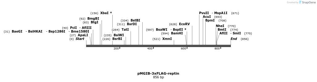 89486_map