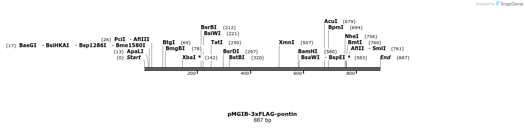 89488_map