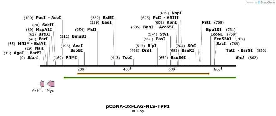 89489_map